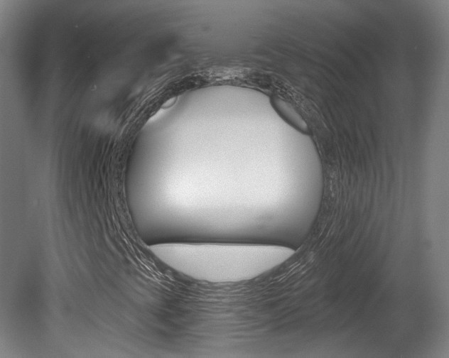 X0000080741393200612150920