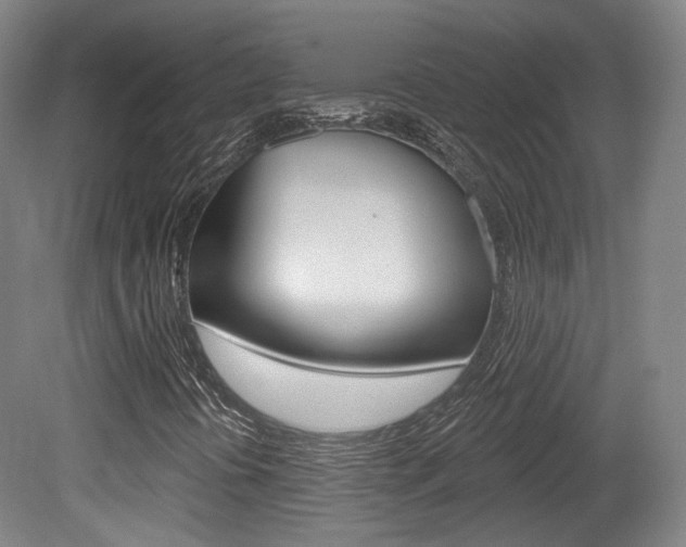 X0000080741394200612150920