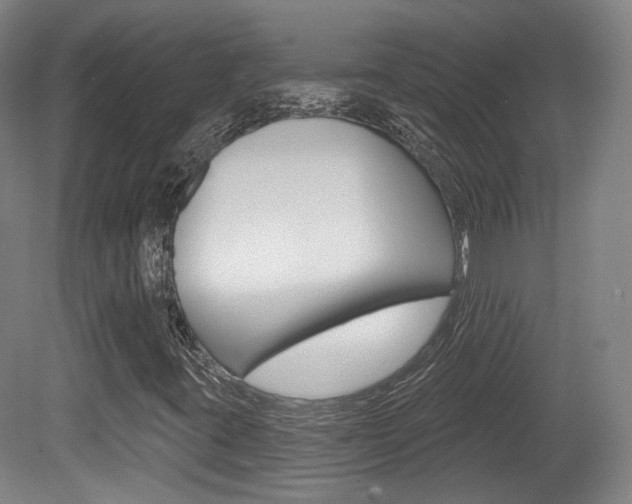 X0000080741395200612150920