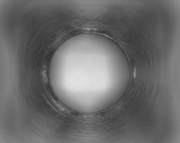 X0000080741396200612150920