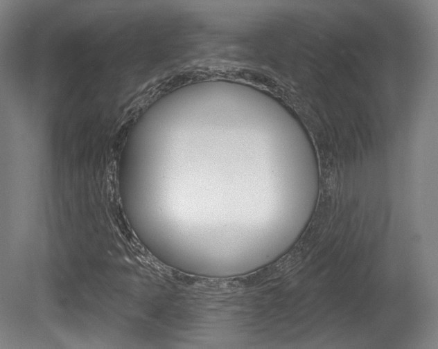 X0000080741397200612150920