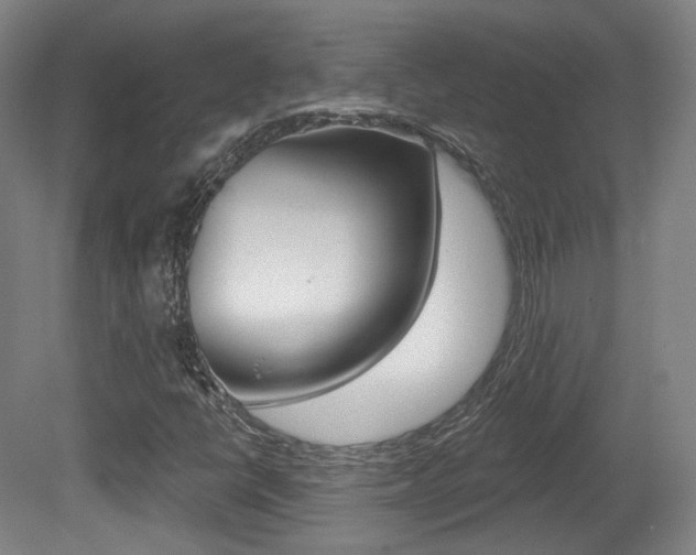 X0000080741398200612150920