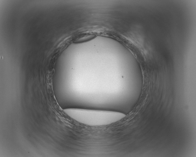 X0000080741399200612150920