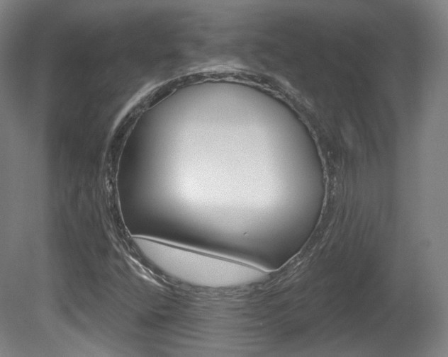 X0000080741400200612150920