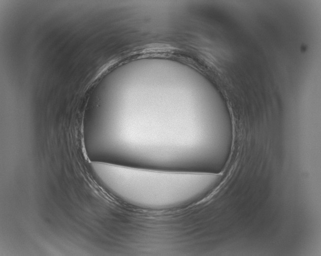 X0000080741401200612150920