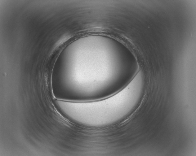 X0000080741402200612150920