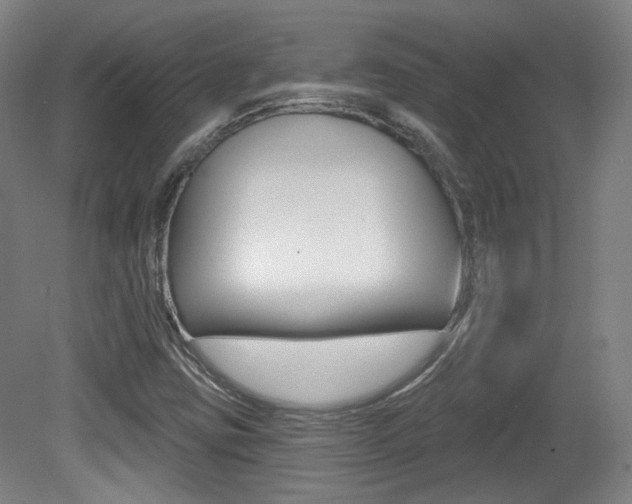 X0000080741403200612150920