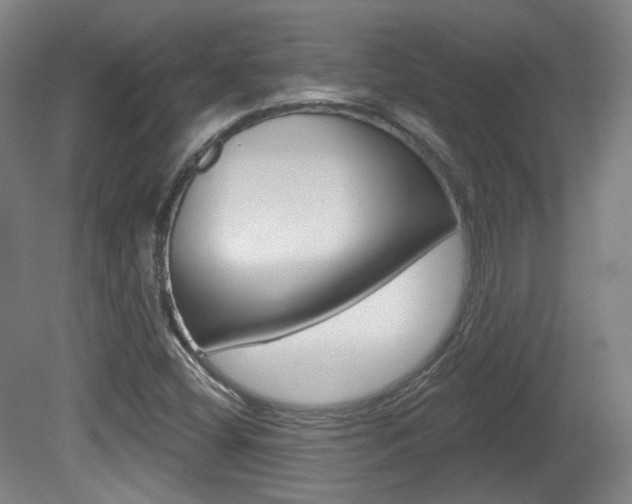 X0000080741404200612150920