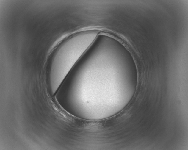 X0000080741406200612150920