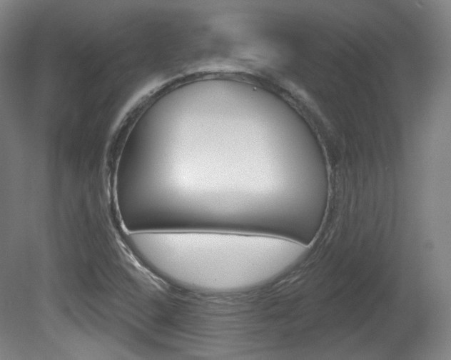 X0000080741408200612150920