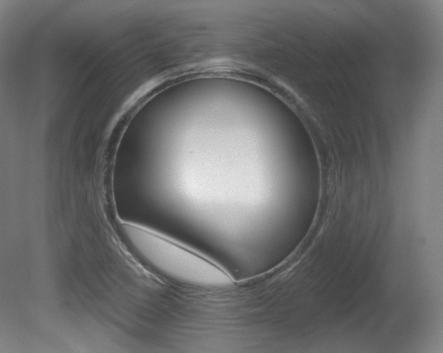 X0000080741410200612150920