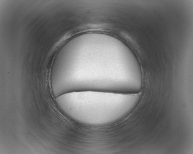 X0000080741411200612150920