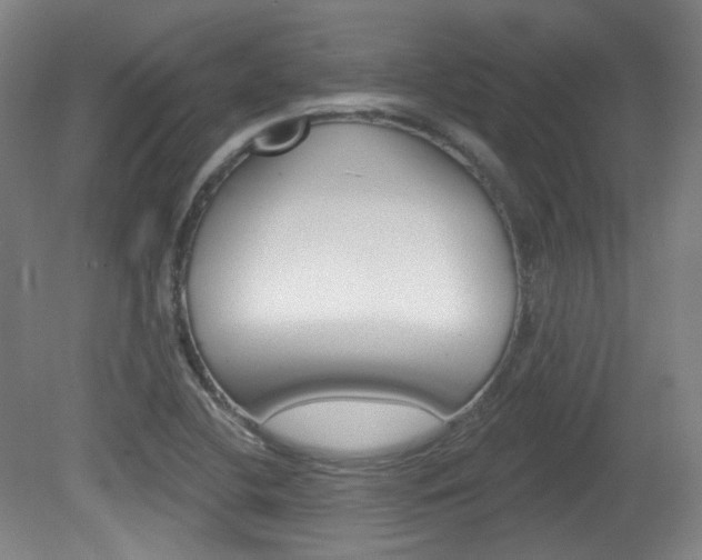 X0000080741412200612150920