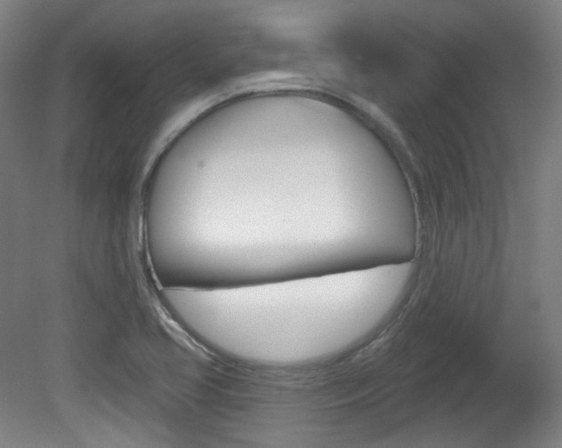 X0000080741413200612150920