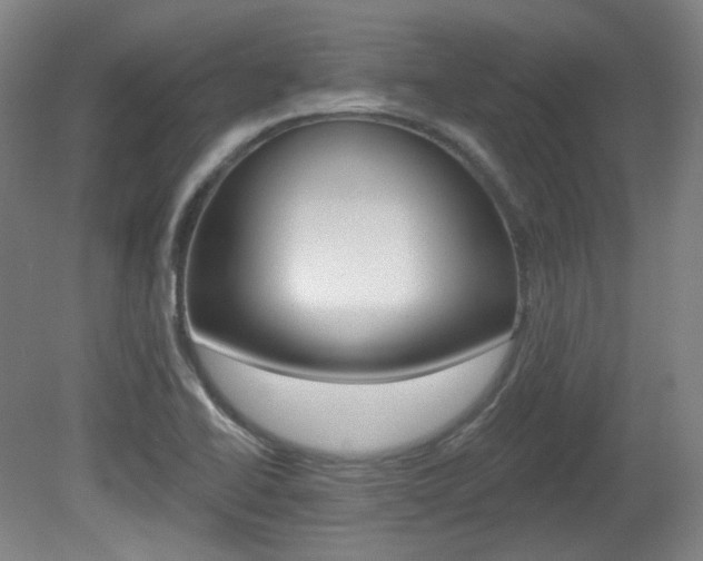 X0000080741414200612150920