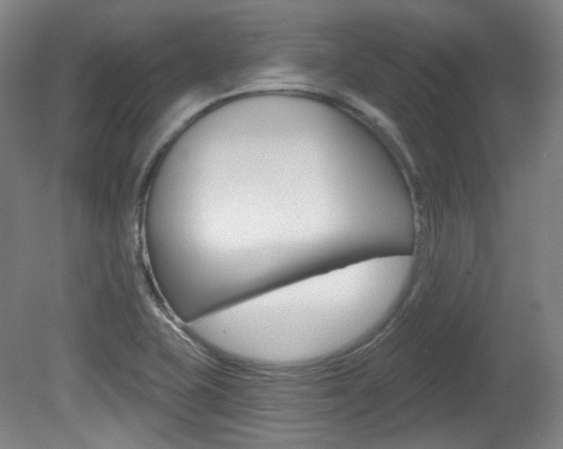 X0000080741415200612150920