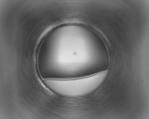 X0000080741416200612150920