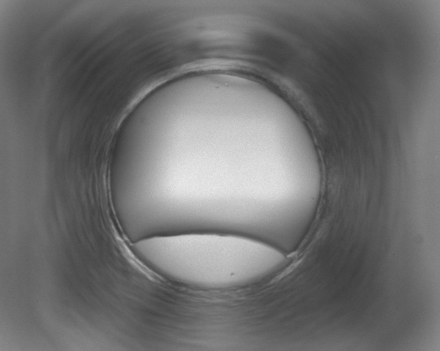 X0000080741417200612150920