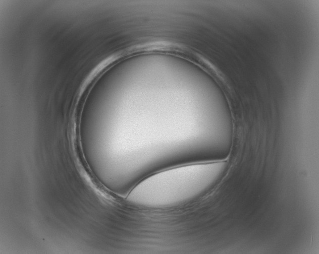 X0000080741418200612150920