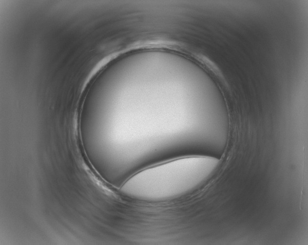 X0000080741420200612150920