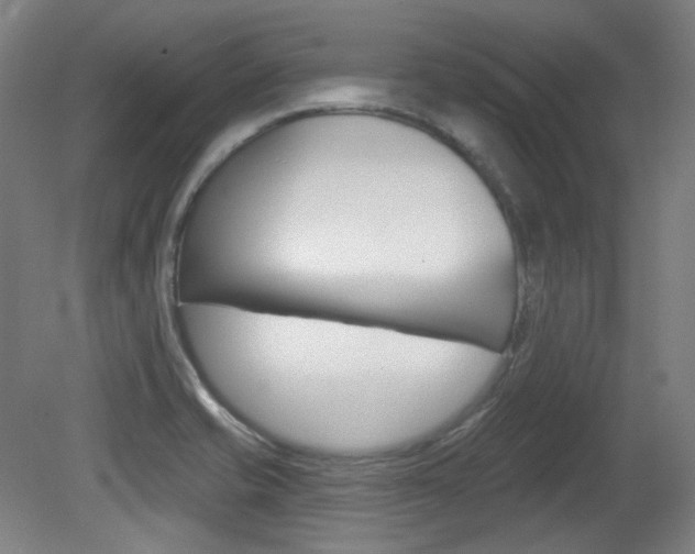 X0000080741421200612150920