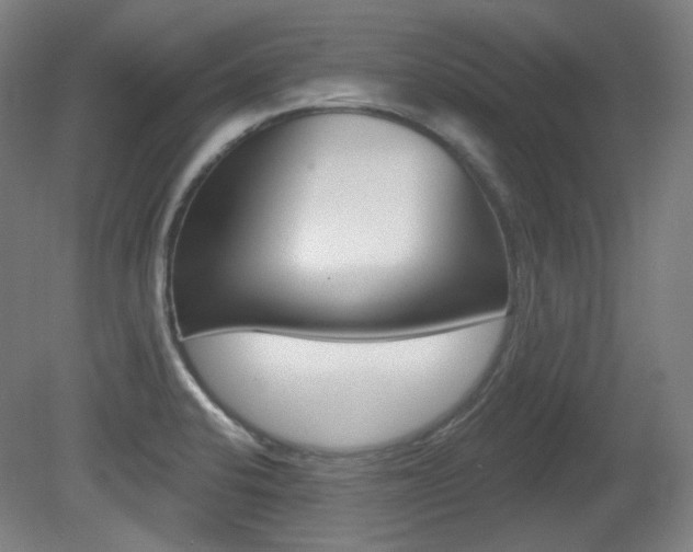X0000080741424200612150920