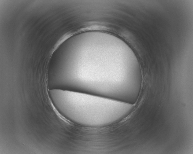 X0000080741425200612150920
