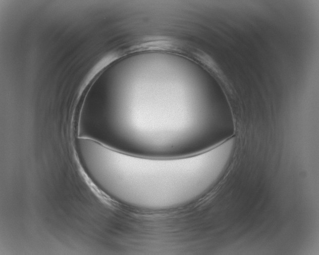 X0000080741426200612150920