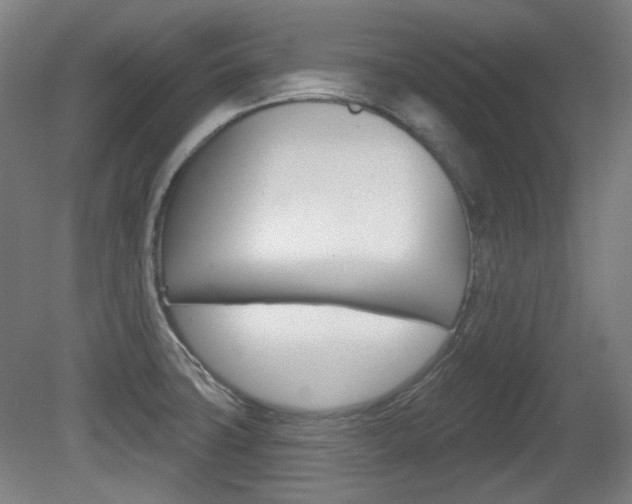 X0000080741427200612150920