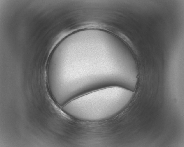 X0000080741428200612150920