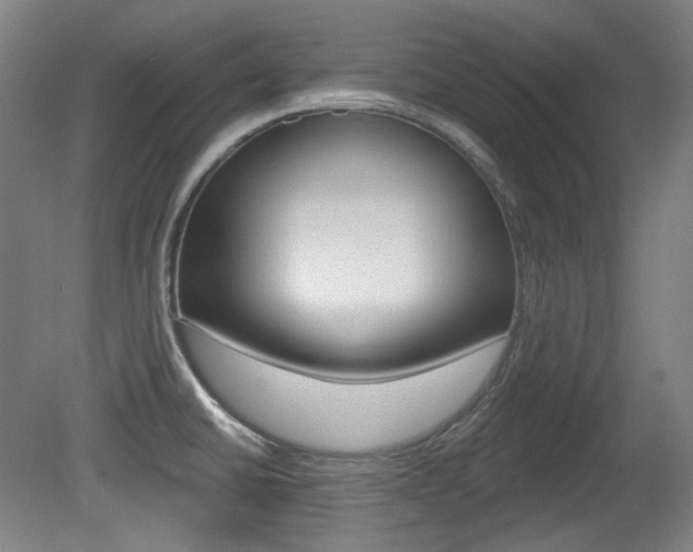 X0000080741430200612150920