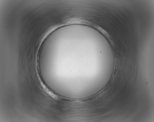 X0000080741431200612150920