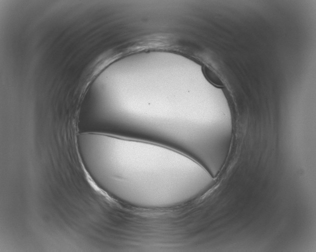 X0000080741433200612150920