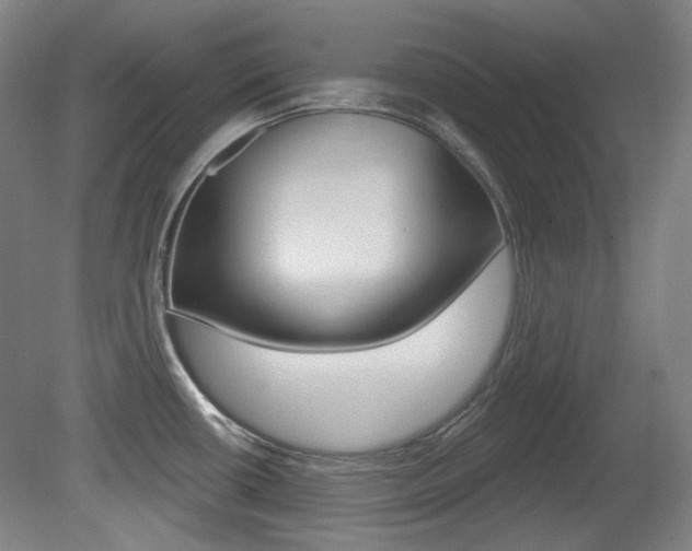 X0000080741434200612150920