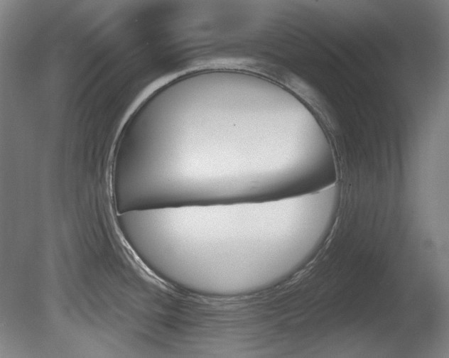 X0000080741436200612150920