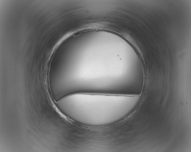 X0000080741437200612150921