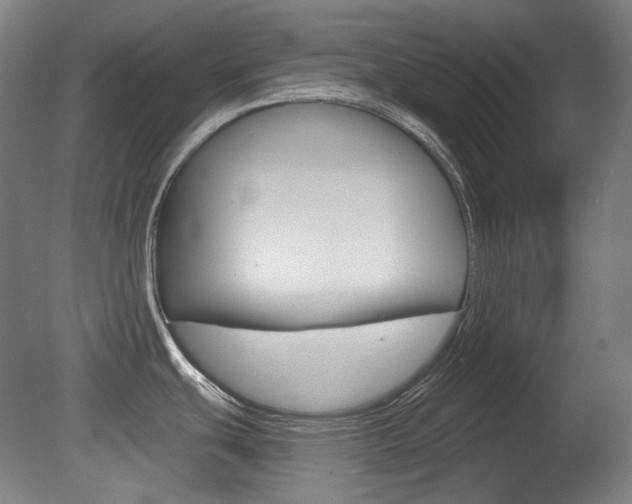 X0000080741439200612150921