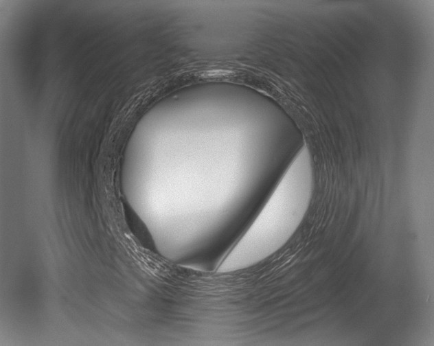 X0000080741441200612150920