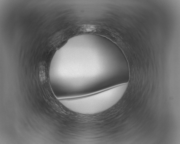 X0000080741442200612150920