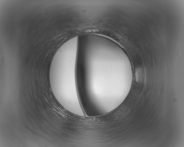X0000080741444200612150920