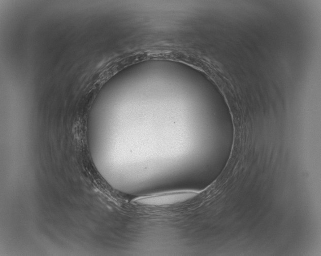 X0000080741445200612150920
