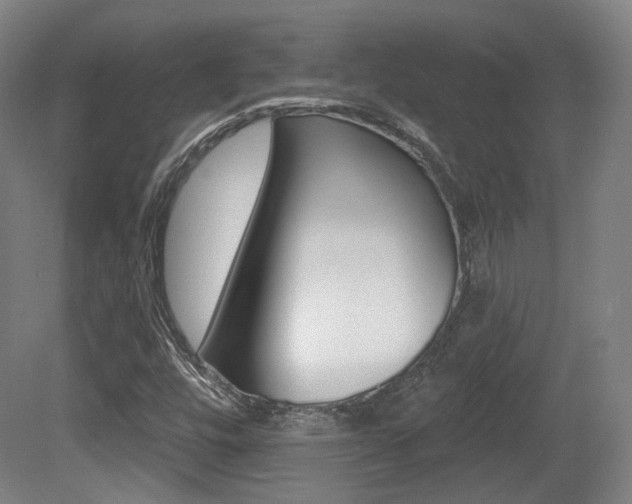 X0000080741448200612150920
