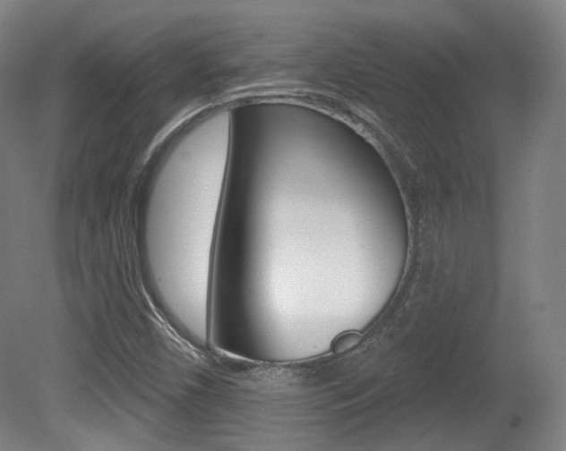 X0000080741450200612150920