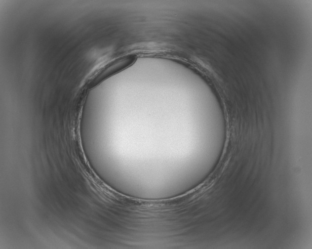 X0000080741451200612150920