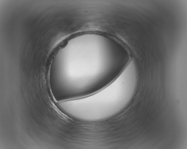 X0000080741452200612150920