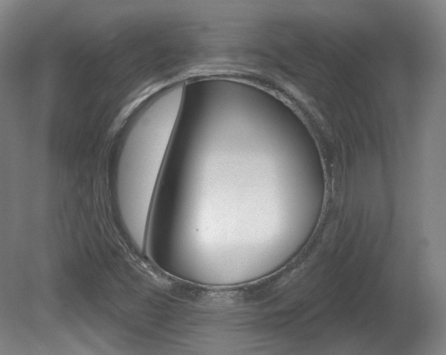X0000080741453200612150920
