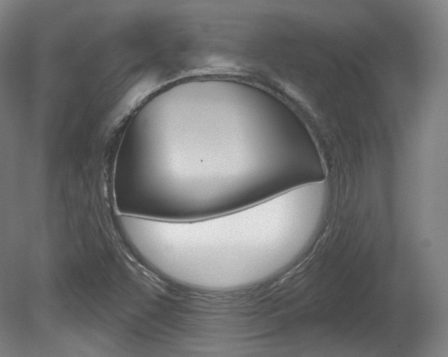 X0000080741455200612150920