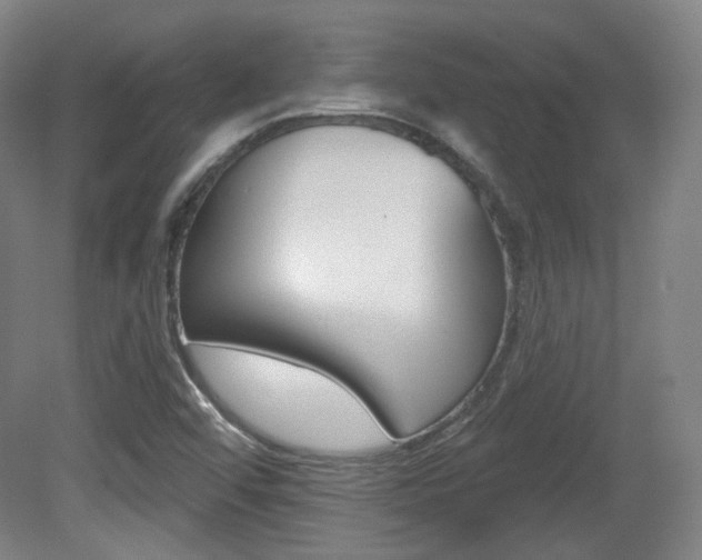 X0000080741456200612150919