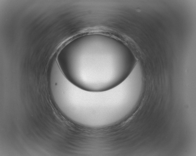 X0000080741457200612150919