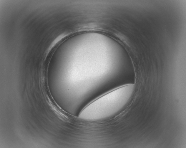 X0000080741458200612150919